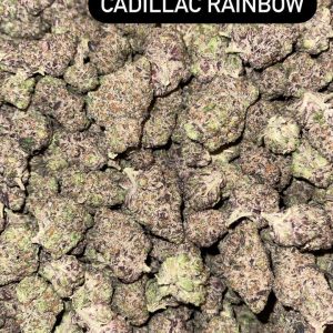 Cadillac Rainbow Strain