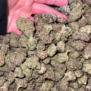 Cadillac Rainbow Strain