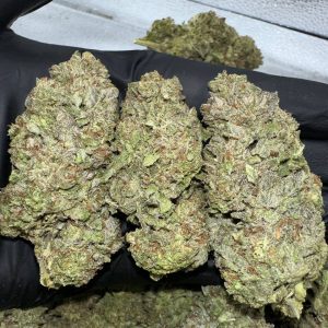 Purple Lemon Haze Strain