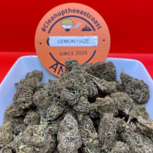 Purple Lemon Haze Strain