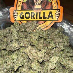 Gorilla